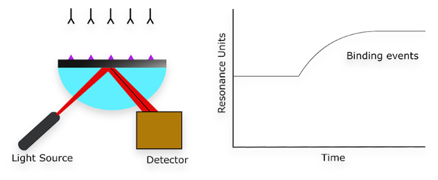 SPR Drawing