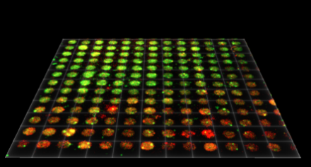 CLiC Fusion Experiment