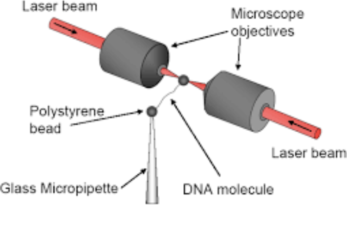 Optical Tweezers